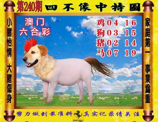 新澳门四肖八肖期期准最新版本,和征婚小伙1天加1千人与小伙子征婚